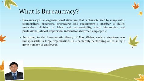 bureaucratic management meaning